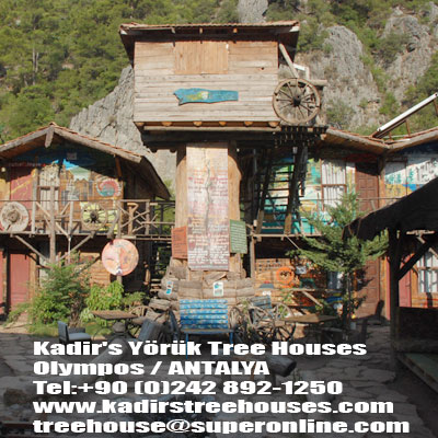  KAD�RS Y�R�K TREE HAUSES