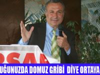 BU ��TE B�R DOMUZLUK VAR