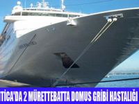 A�K GEM�S�NDE DOMUZ GR�B�