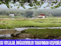 KE�FED�LMEY� BEKLEYEN YAYLALAR