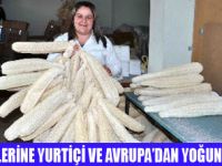 SEL�L�TLER� YA�LARI DO�AL L�FLE G�DER�N