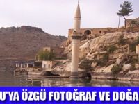 DASK DO�ADA G�R�NT� AVCILI�I