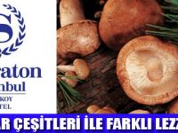COOKBOOK�DA FARKLI LEZZETLER