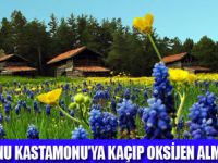 KASTAMONU'DA �AM KOKAN KONAKLAR