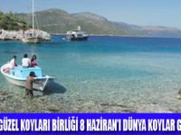 8 HAZ�RAN �D�NYA KOYLAR G�Nܔ