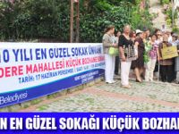 2010 YILI EN G�ZEL SOKAK �NVANI