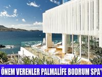 PALMAL�FE�DE TAT�L EV�N�Z� ARATMAZ