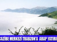 TRABZON TUR�ZM MERKEZ� OLMA YOLUNDA