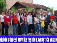 YAZ AK�AMLARI B�R BA�KADIR �NEBOLU�DA