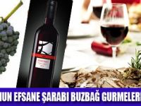 BUZBA� GURMELER�N� ARIYOR