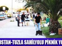 SAH�LYOLU�NDAN P�KN�K MANZARALARI