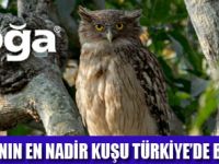 BALIK BAYKU�U T�RK�YE�DE YA�IYOR