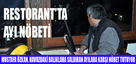 RESTORAN �N�NDE AYI N�BET�