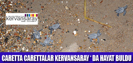 CARETTALAR DEN�ZE ULA�TI