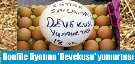 Deve Kuşu Ürünleri
