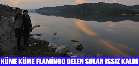 FLAM�NGOLAR CENNET� TERK ETT�