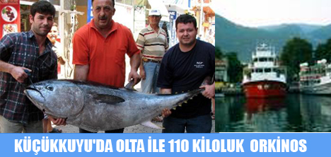KÜÇÜKKUYU'DA OLTA İLE 110 KĞ ORKİNOS