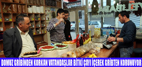 BİTKİ ÇAYI SATIŞLARI ARTTI