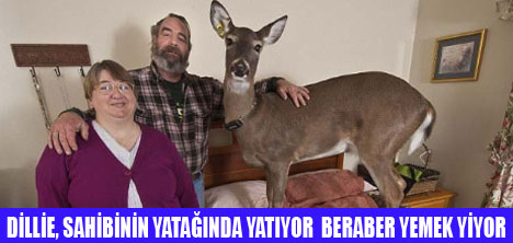 EVİNDE GEYİKLE YAŞIYOR