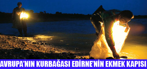 AVRUPAYA 100 TON KURBAĞA