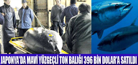 AÇIK ARTTIRMADA REKOR TALEP