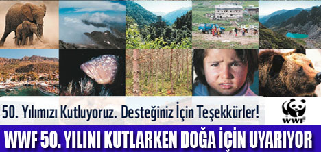 WWF 50.YILINI KUTLUYOR