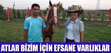 KAYA AT ÇİFTLİĞİ