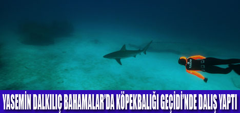 KÖPEKBALIĞI GEÇİDİ’NDE DALIŞ YAPTI