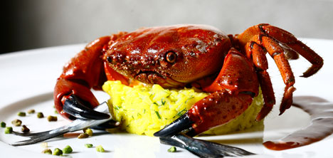 OUZO LEZZET SEVERLERİ AĞIRLAYACAK