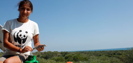 Schneider Electric’ten lamba hibesi