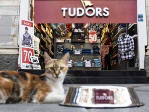 Tudors Gömlek Krallığı bu kez hayvan dostu bir yaklaşımla tüm markalara örnek oluyor