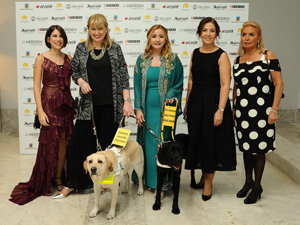 Eğitimli rehber köpekler görme engellilerin yol arkadaşı oluyor