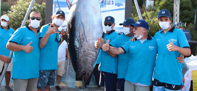 Didim’de 260,8 kg’lık dev orkinos yakalandı