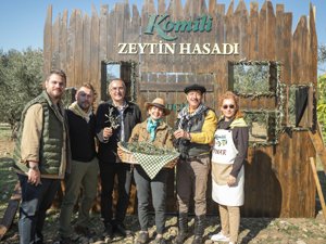 24. Komili Zeytin Hasadı Kültür Rotasının İzinde Gerçekleştirildi