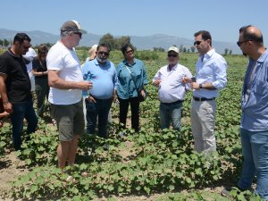 Küresel Pamuk Tedarik Zinciri İzmir’de Buluştu