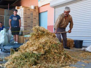 İklim dostu tarım için dönüşüm başladı