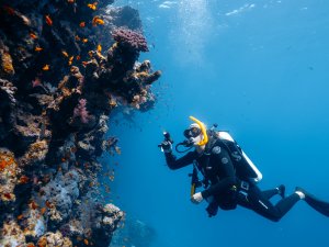 Spor ve Eğlencenin Yeni Adresi: Suudi Arabistan