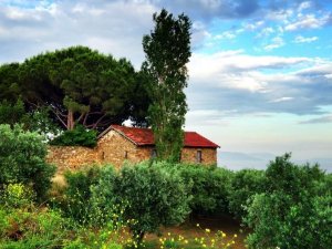 Trakya’nın bağlarında aryalar yankılanacak