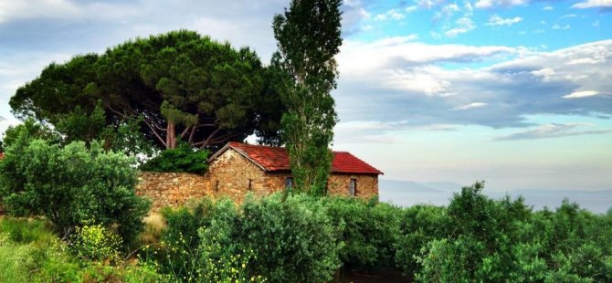 Trakya’nın bağlarında aryalar yankılanacak