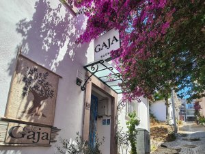 Türk Gezginin Yeni Rotası: Serin Kaçışlar