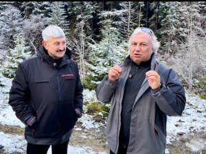 Araklı Belediyesi Yaylada Bungalov ve Karavan Parkı Kuruyor