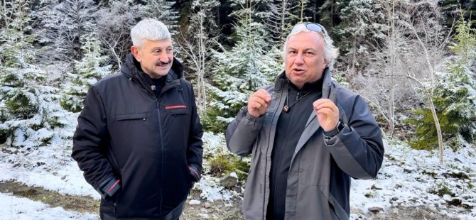 Araklı Belediyesi Yaylada Bungalov ve Karavan Parkı Kuruyor