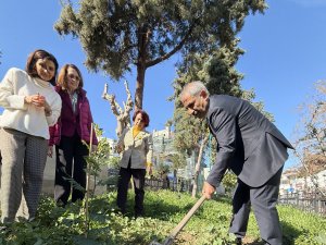 Adalar’da Bahar Mimoza Festivali ile Karşılandı