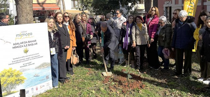 Adalar’da Bahar Mimoza Festivali ile Karşılandı