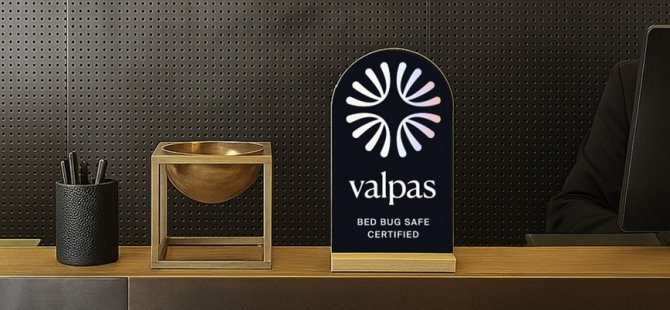 Valpas, Netstorming ile Ortaklık Kurdu
