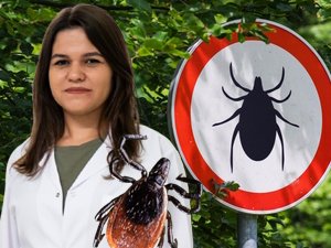Kene Isırığında Erken Müdahale Hayat Kurtarıyor