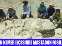 BURDURDA 10 MİLYON YILLIK FOSİL