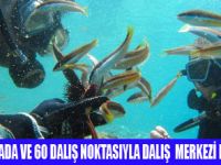 DALGIÇLARIN YENİ GÖZDESİ AYVALIK