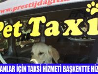 PET TAKSİ HİZMETE GİRDİ