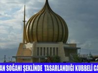 BİTKİNİN TASVİR EDİLDİĞİ CAMİ